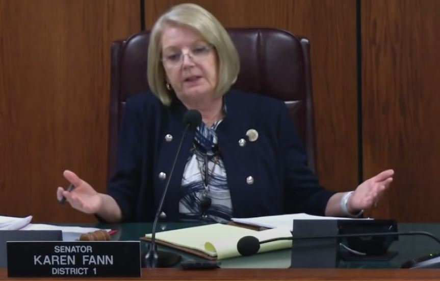LIVE STREAM VIDEO: Arizona Senate Hearing on Maricopa County Audit Results at 10 AM PT or 1 PM ET