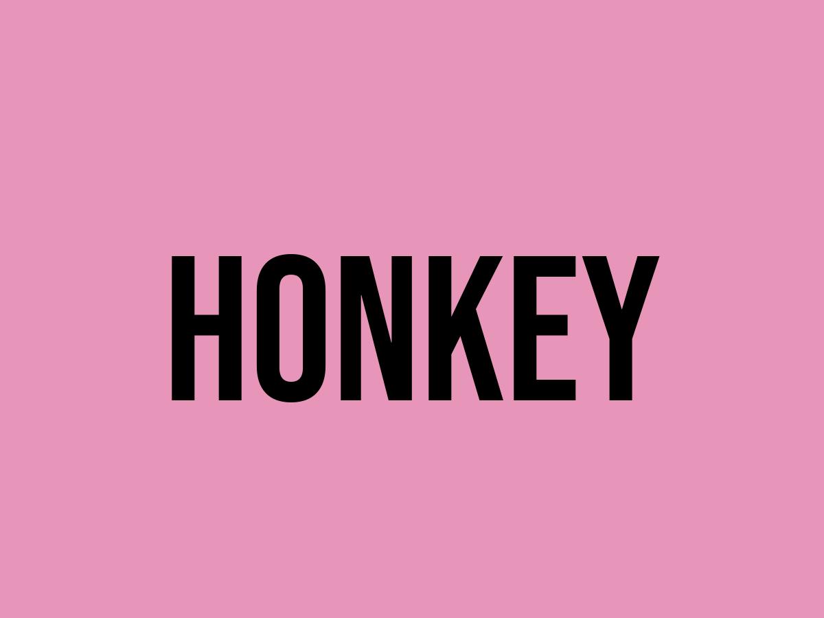 What Does Honkey Mean? - Meaning, Uses and More - FluentSlang