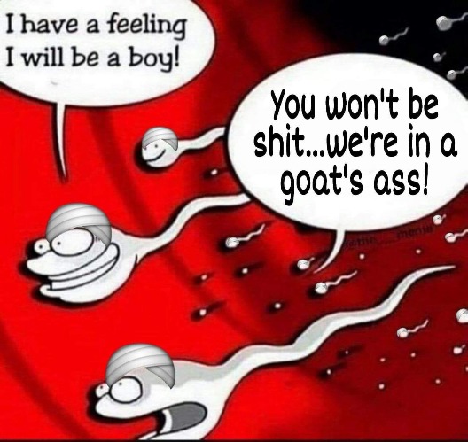 Goat's Ass Soup