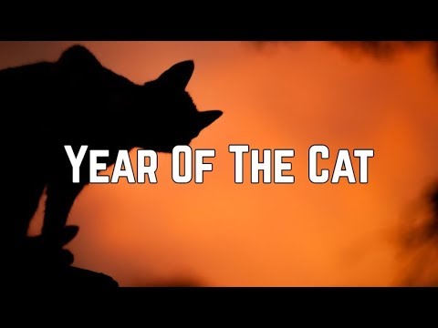 Al Stewart - Year Of The Cat (Lyrics)