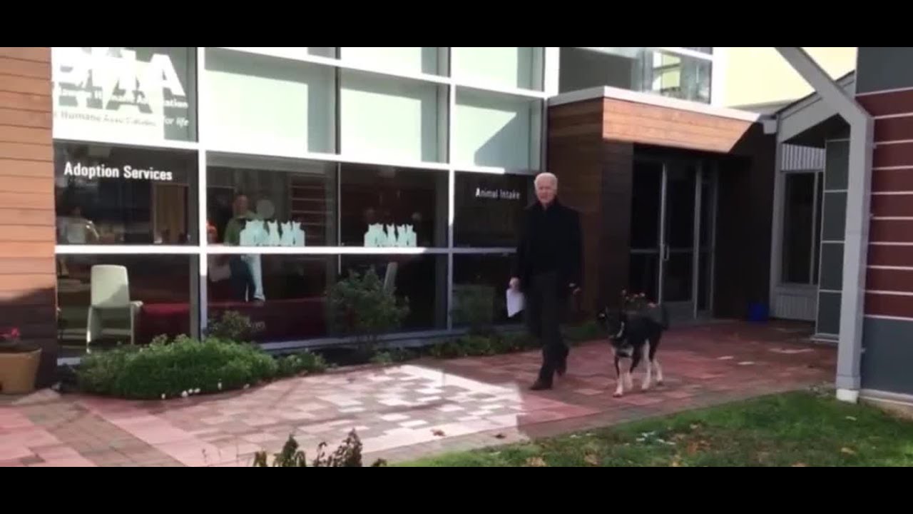 President Joe Biden's dog involved in another biting incident