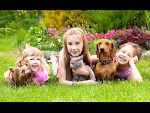 The Carpenters - Bless The Beasts And The Children/Superstar