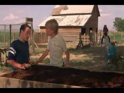 Rusty and Dale from Vacation