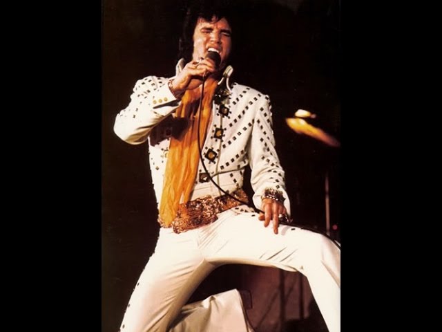 Elvis Presley - I'll Never Fall In Love Again