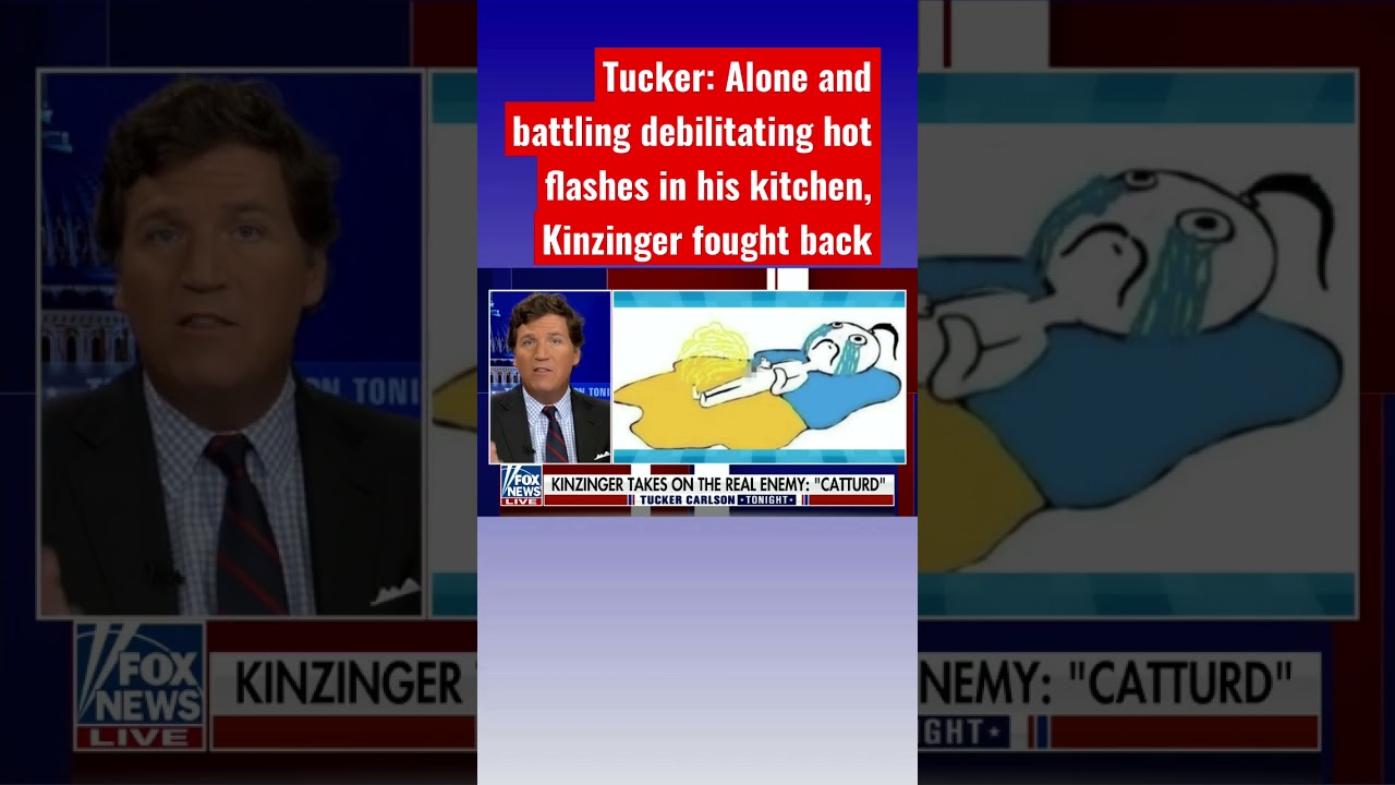 Tucker roasts Kinzinger’s beef with Twitter user ‘Catturd’ #shorts
