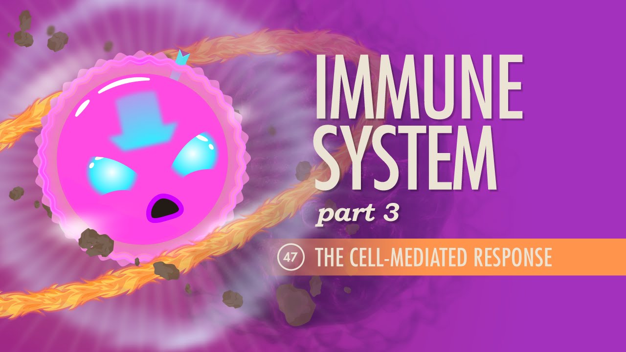Immune System, Part 3: Crash Course A&P #47