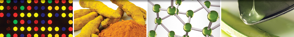 Efficacy of Lianhua Qingwen Compared with Conventional Drugs in the Treatment of Common Pneumonia and COVID-19 Pneumonia: A Meta-Analysis