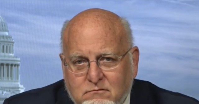 Redfield: Fauci's Denials on Funding Gain-of-Function Research in Wuhan Are Like Clinton's Definition of 'Is'