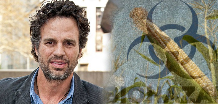 Actor Mark Ruffalo Calls Out Monsanto: “You Are Poisoning People” - True Activist
