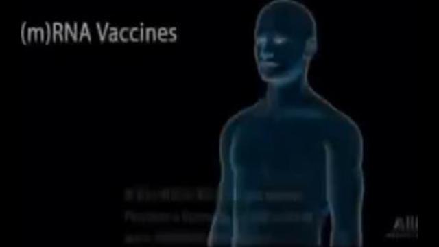 MUST WATCH VIDEO explaining the effects of the Covid ‘vaccines’ in your body.